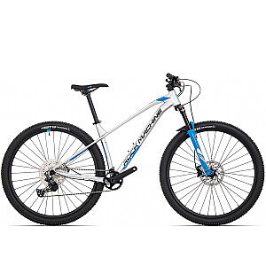 Kalnu velosipēds Rock Machine 29 Torrent 70-29 (I) sudrabs/zils (L)