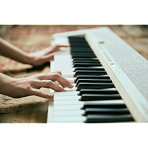 Casio CT-S1 Цифровой синтезатор 61 Белый
