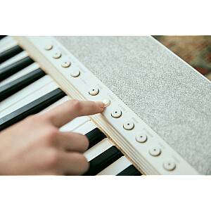 Casio CT-S1 Цифровой синтезатор 61 Белый
