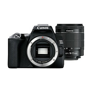 Canon EOS 250D + 18-55mm DC III objektīvs