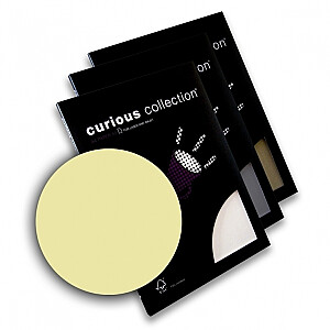 Tekstūrpapīrs Curious Metalics A4, 120g/m2, 50loksnes/iep, white gold