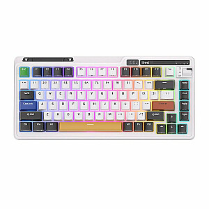 Royal Kludge KZZI K75 pro Eternity RGB Механическая Клавиатура