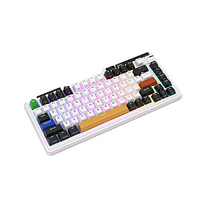 Royal Kludge KZZI K75 pro Eternity RGB Механическая Клавиатура