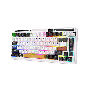 Royal Kludge KZZI K75 pro Eternity RGB Механическая Клавиатура