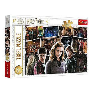 Puzlis TREFL Harry Potter 160 gb. 6+ T15418