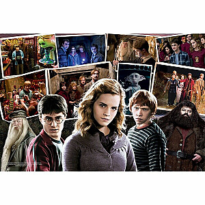 Puzlis TREFL Harry Potter 160 gb. 6+ T15418