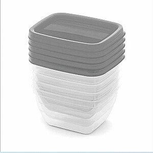 Набор контейнеров для пищевых продуктов 5x0,25 л Vedo прозрачный серый
