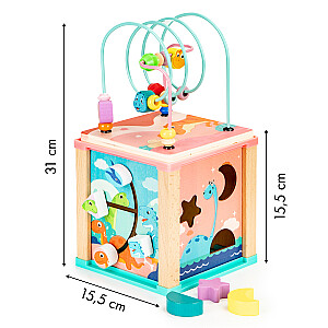 Koka izglītojošs kubu šķirotājs + šķirotājs no Ecotoys