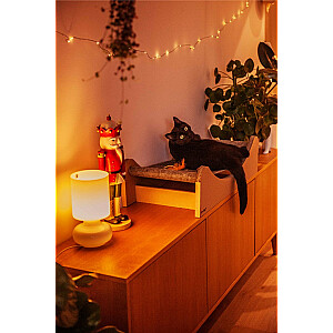 CARTON+ PETS Mia - Šūpuļtīkls kaķim - 72 x 36 cm