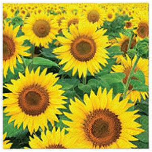 SALVETES 33X33 SUNFLOWERS FIELD, Paw Decor Collection