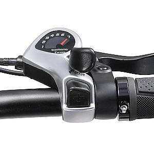 Elektriskais velosipēds APE RYDER 20 A10 melns