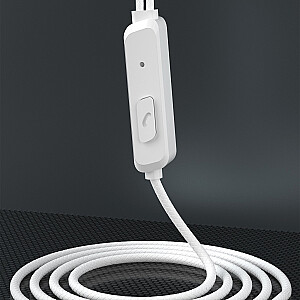 Проводные наушники Dudao USB Type C 1,2 м белый (X3B-W)