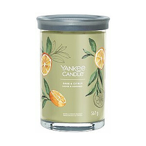 Yankee Candle Signature Sage & Citrus Glass, 567