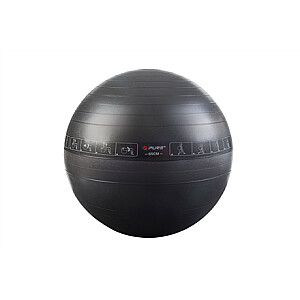 Pure2Improve P2I200070 Exercise Ball 65 cm Black