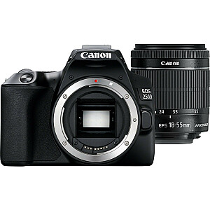 Объектив Canon EOS 250D + 18-55 мм IS STM