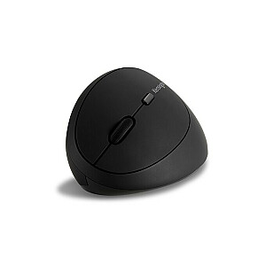 Ergonomiska Pro Fit datorpele kreiļiem