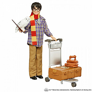 Набор Mattel Mattel Harry Potter на платформе 9 3/4 GXW31