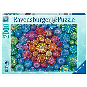 2D puzle 2000 gab. Varavīksnes mandalas