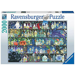 2D puzle 2000 gabali Indes un mikstūras