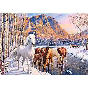 Puzle 500 gabali Zirgi ziemas ainava
