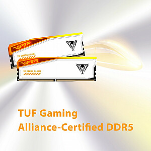 Память DDR5 Viper Elite 5 RGB TUF 32 ГБ/6000 (2x16 ГБ) CL36