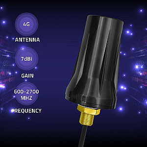 DUAL 4G LTE antena | 7 dBi | daudzvirzienu | Ārā