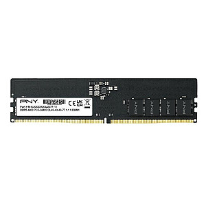 Память 8 ГБ DDR5 4800 МГц ECC MD8GSD54800-TB