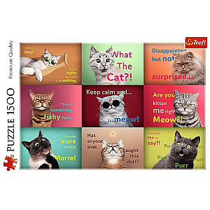Puzle 1500 gabali Smieklīgi kaķu portreti