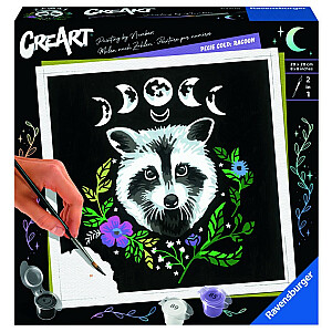 Krāsojamā lapa Raccoon CreArt Pixie Cold Edition