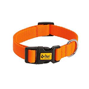 DINGO Energy orange - suņa kaklasiksna - 20-32 cm