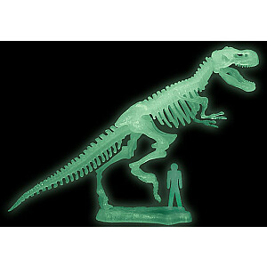 Tyrannosaurus Rex arheoloģijas komplekts