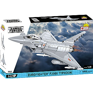 Блоки Eurofighter F2000 Тайфун