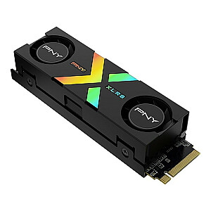 Disk 1TB M.2 2280 CS3150 SSD M280CS3150XHS-1TB-RB EPIC-X RGB