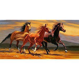 Алмазная мозаика - Три лошади