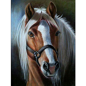 Алмазная мозаика - Лошадь со светлой гривой.