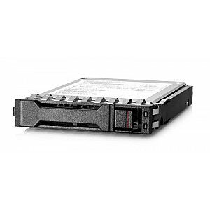 Disks 960 GB SATA RI SFF Business Critical MV SSD P40498-B21