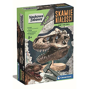 Научный набор Окаменелости черепа тиранозавра