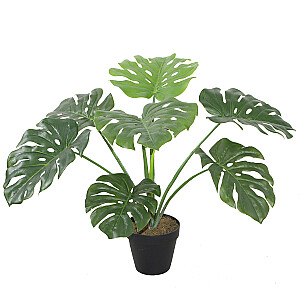 Искусственное растение MONSTERA H60см, горшок черный мужской