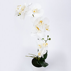 Белая орхидея с 2 ветвями IN GARDEN, H51см, белый горшок