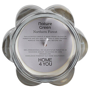 Ароматические свечи NATURE GREEN H9,2см, Northern Forest
