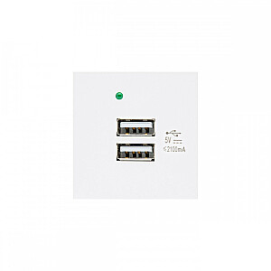 Розетка USBx2 с зарядным устройством подходит для MCE728W Белые стеклянные рамки