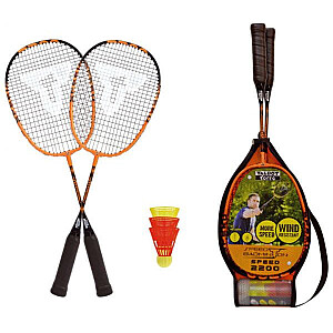 Набор Speedminton Talbot Torro S2200 490112