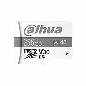 Atmiņas karte DAHUA TF-P100/256G 256 GB