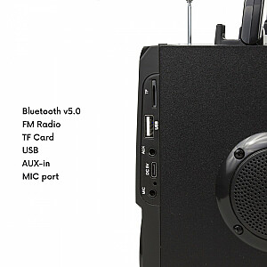 Audiocore AC730 Bluetooth radio USB skaļrunis