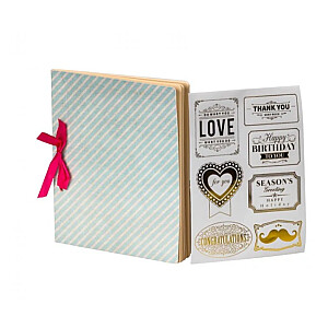 Instax albums "Blue Stripe"