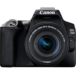 Canon EOS 250D Silver + EF-S 18-55mm f / 4-5.6 IS STM objektīvs