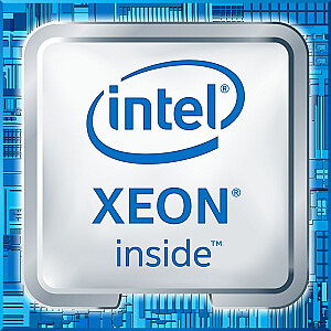 Intel Xeon E-2236 - 3,4 GHz procesors