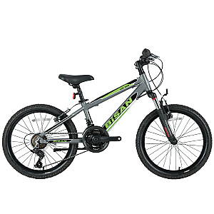 Bērnu velosipēds Bisan 20 KDX2600 (PR10010392) pelēks/zaļš (Rata izmērs: 20)