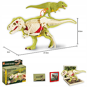 Набор для сборки скелета динозавра TYRANNOSAUR REX, 32 предмета, 6+ CHT2818817