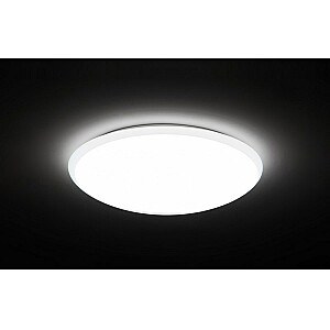 Maclean LED griestu lampa griestu gaisma ārējā siena IP66 16W MCE144